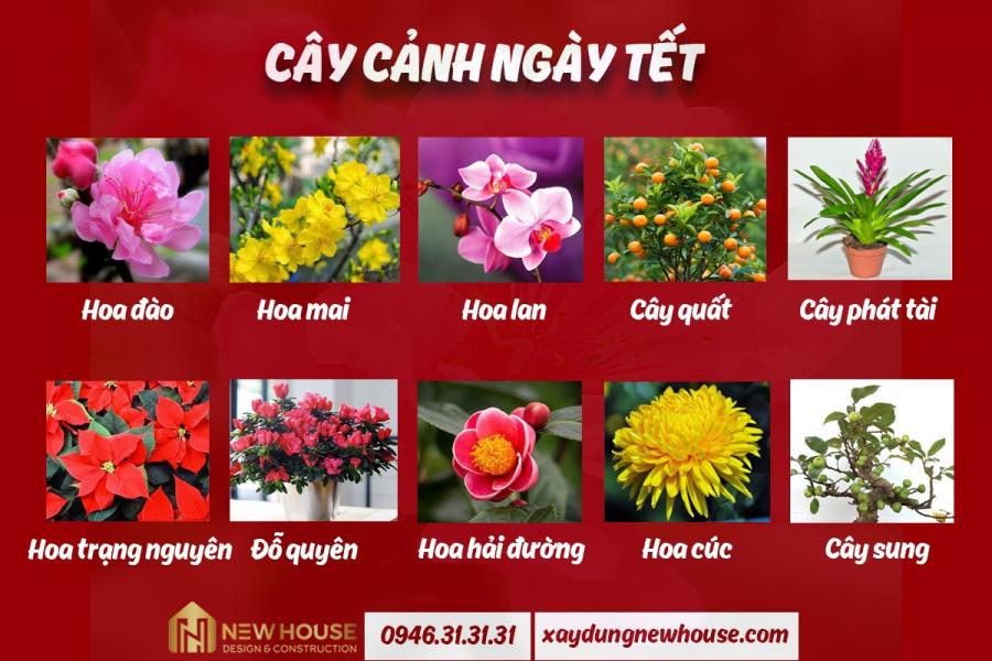 Click image for larger version

Name:	Các loại cây cảnh.jpg
Views:	26
Size:	88.5 KB
ID:	185149