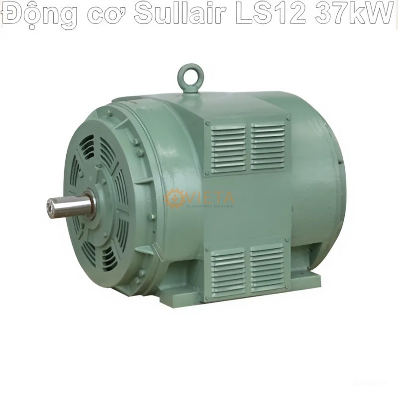 Click image for larger version

Name:	Dong-co-may-nen-khi-Sullair-88290004-856.jpg
Views:	47
Size:	139.6 KB
ID:	258606