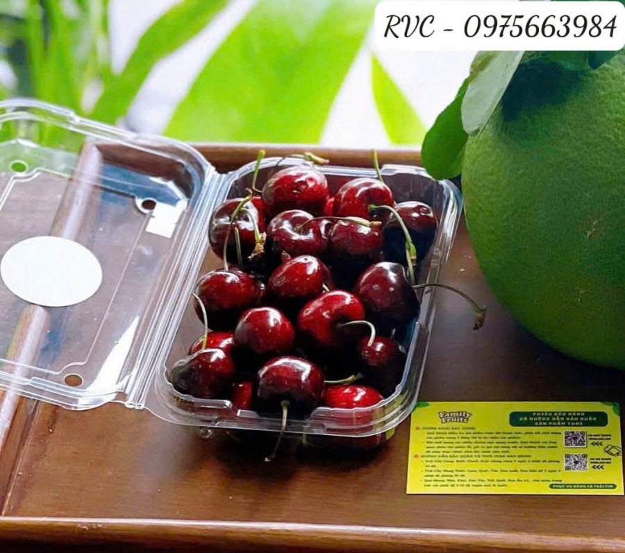 Click image for larger version

Name:	hop-dung-cherry.1.jpg
Views:	0
Size:	231.9 KB
ID:	340541