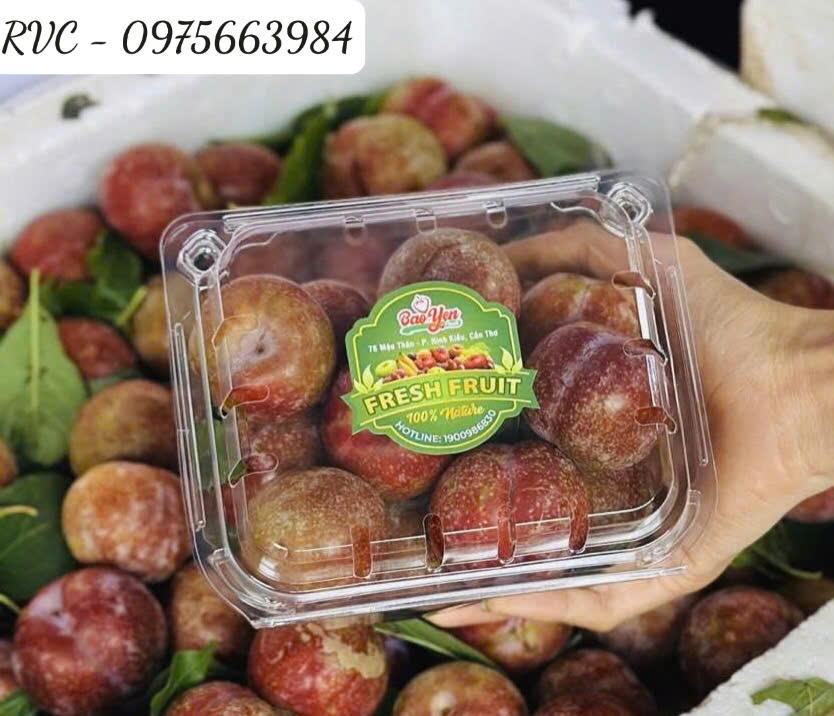 Click image for larger version

Name:	Hop-dung-man.4.jpg
Views:	0
Size:	288.9 KB
ID:	342156