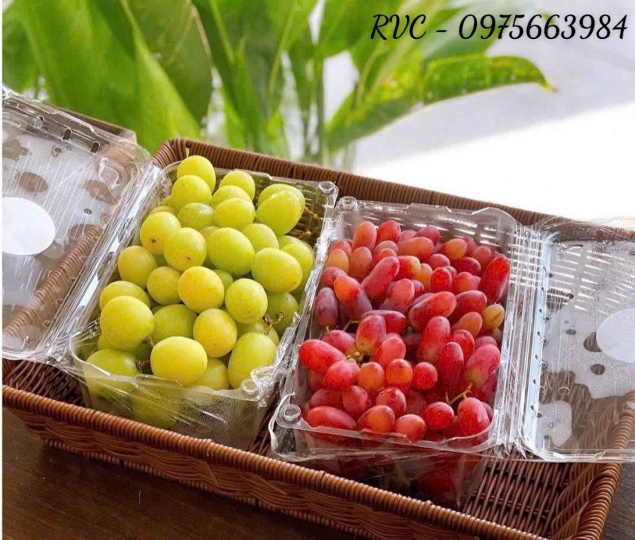 Click image for larger version

Name:	hop-dung-nho-4-jpg.47473.jpg
Views:	0
Size:	270.0 KB
ID:	344969